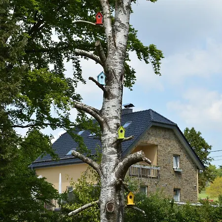 Cosy With Sauna, Terrace Casa vacanze Butgenbach